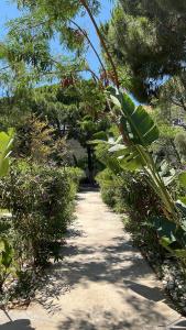 Um jardim em ByAKKAN HOTEL