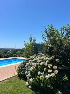 a hedge of flowers next to a swimming pool at Casa Matreiro in Proselo