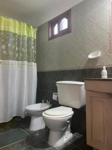 une salle de bain avec toilettes et rideau de douche dans l'établissement cabañas Samay-Piskho, à Santa Rosa de Calamuchita 57 autres photos