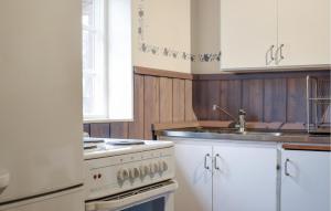 Kuchyň nebo kuchyňský kout v ubytování 1 Bedroom Amazing Apartment In Nybro