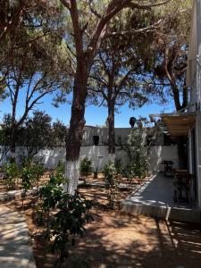 Um jardim em ByAKKAN HOTEL