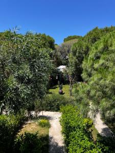 Um jardim em ByAKKAN HOTEL