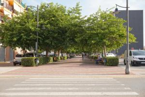 un trottoir avec des arbres sur le côté d'une rue dans l'établissement Appartement lumineux proche Valencia - À 10 min de la mer !, à Puebla de Farnals