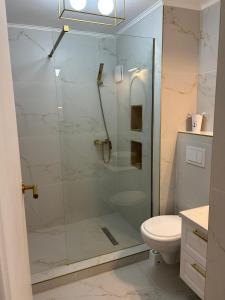 un bagno con doccia in vetro e WC di Studio KMS Mamaia Nord a Mamaia Nord - Năvodari