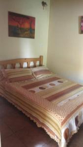 een groot bed in een kamer met een grote sprei bij Casa de Olga in Tandil