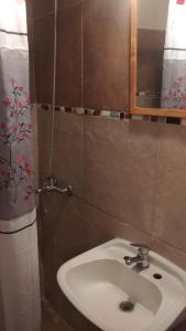 een badkamer met een wastafel en een spiegel bij Casa de Olga in Tandil