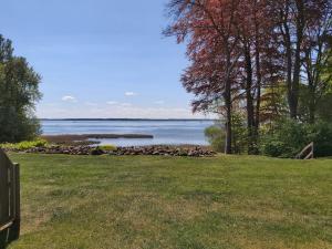 Naturlandskabet i nærheden af lejligheden