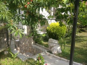 Zahrada ubytování Apartments Svetlana