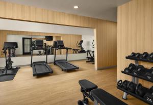 Palestra o centro fitness di The Wilde Resort and Spa