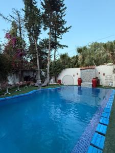 a large swimming pool with blue water at Malabata Guest House in Tangier +43 photos