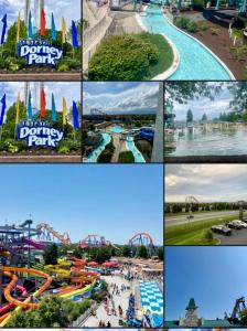 a collage of photos of a water park at Las margaritas in Allentown