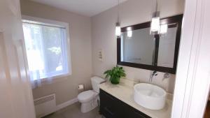 une salle de bain avec un lavabo et des toilettes et une fenêtre dans l'établissement Chalet Ô Lac-Brome, 3ch, 8 personnes, à Lac-Brome 37 autres photos