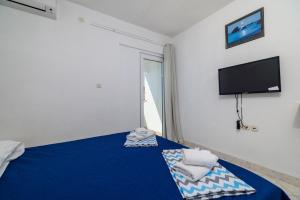 TV a/nebo společenská místnost v ubytování Apartments Tasa