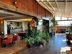 a restaurant with potted plants and tables and chairs at Hotel Atabay in Istanbul