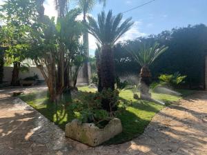 a garden with palm trees and flowers in a yard at Villa Erika in Gallipoli