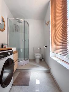 a bathroom with a toilet and a glass shower at Appartement au Grain d' Moutarde in Dijon