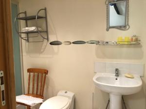 un bagno con lavandino, WC e specchio di The Lake Room Cottage with Private Fishing Lake a Bommiers