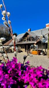 Afbeelding uit fotogalerij van Aizpuri Park View in Nīca