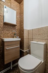 a bathroom with a toilet and a sink at Villa Dumbrava Rosie in Constanţa