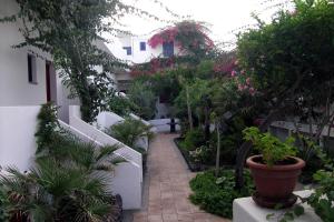 a garden with plants and flowers in a building at La Sirenetta Park Hotel in Stromboli