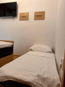 a small bedroom with a bed and a tv at Ludanov apartma in Radlje ob Dravi