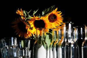 Aare Lodge Attisholz Self Check-in的酒水