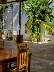Restaurace v ubytování Haciendita Xul-Ha