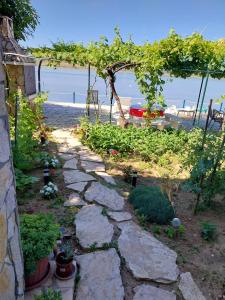 Príroda v okolí apartmánu + 14 fotografií