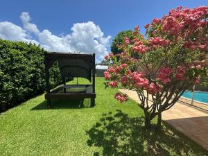 a chair sitting in the grass next to a tree at Villa Morne-Bou in Petit-Bourg