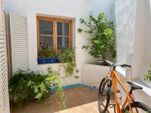 an orange bike parked in front of a house with plants at Casa en Cádiz in Benalup Casas Viejas