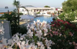 a swimming pool with white flowers in front of a house at La Sirenetta Park Hotel in Stromboli