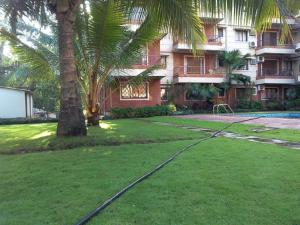a yard in front of a building with a palm tree at Goa Homeland 3 double bed Calangute in Calangute