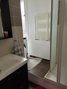 a bathroom with a shower and a sink at Versailles 4-person appartment in Le Chesnay