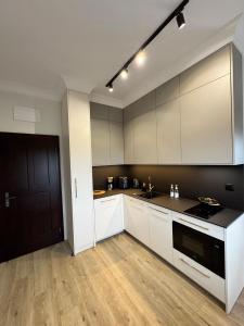 Kuchyň nebo kuchyňský kout v ubytování Apartamenty Toszeckie LUX
