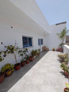 Κήπος έξω από το Mirage