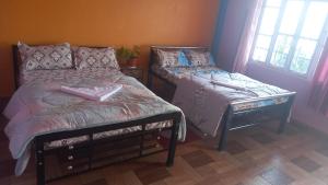 a bedroom with two beds and two windows at Ramailo Resturant and Homestay in Kalimpong