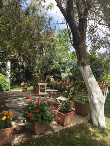a garden with flowers and a table and a tree at Meis Hotel in Bitez
