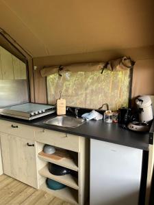 a kitchen with a sink in a camper at Romala's Glamping Hideaway in Kiel +15 photos