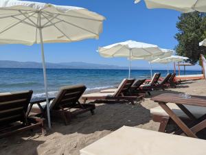 un gruppo di sedie e ombrelloni su una spiaggia di Sea You on the Beach a Amarinthos Altre 7 foto