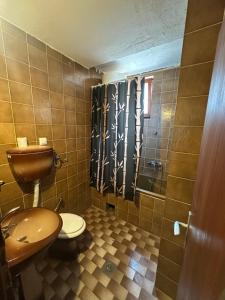 a bathroom with a toilet and a shower at Lea Apartment in Struga +6 photos