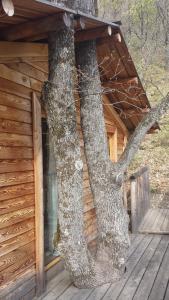 Fotografija u galeriji objekta Cabane de la Bannette - Magnifique cabane dans les arbres, vue panoramique u gradu Thoard