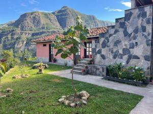 a small tree in front of a house with mountains at La Casa de Mario - Gocta in Cocachimba