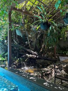 a swimming pool with a water feature in a garden at Hotel Middle Path & Spa in Pokhara