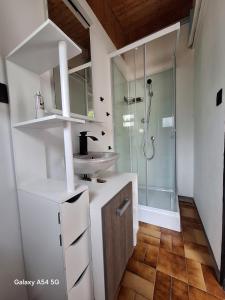 ein Badezimmer mit Waschbecken und Dusche in der Unterkunft Le Cottage De Zénitude in Béziers