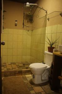 a bathroom with a toilet in a tiled room at Cabaa Luculuc Garden Forest in San Pedro