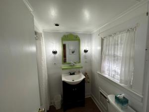 une salle de bain avec un lavabo et un miroir dans l'établissement Cottage 3 - Pet Friendly - 1 Bedroom / 1 Bath, à Wolfeboro