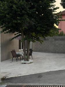 a table and two chairs under a tree at Apartman Strahinja in Tivat +1 photo