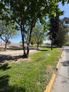 a street with trees on the side of a road at Monoambiente Espacio super funcional in Guaymallen