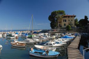 a bunch of boats are docked in a harbor at Apartment Sea Garden in Ičići