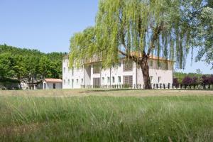 a large white house with a tree in a field at Ca' Allegra in Mogliano Veneto